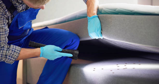 Best Residential Pest Control  in Waverly, IA