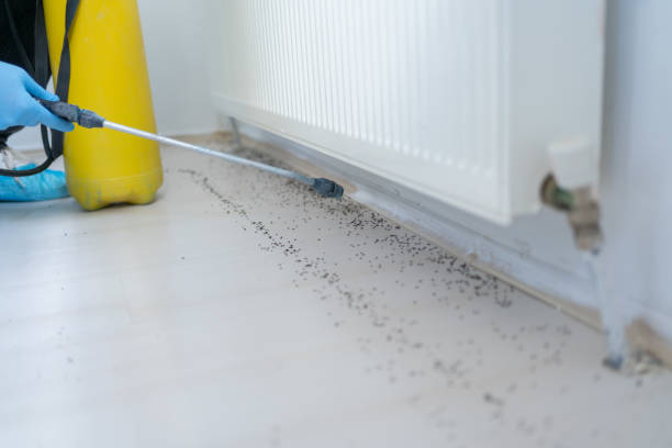 Best Affordable Pest Control Services  in Waverly, IA