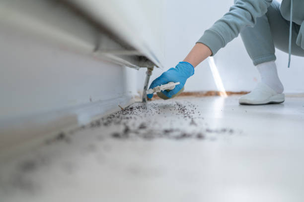 Waverly, IA Pest Control Company