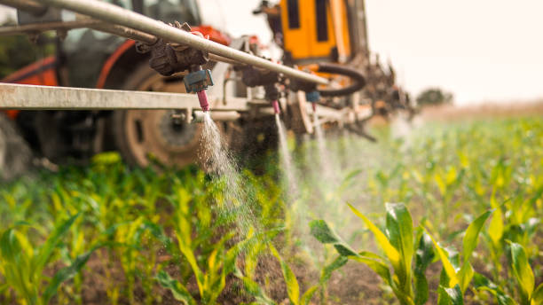 Best Pest Inspection Near Me  in Waverly, IA